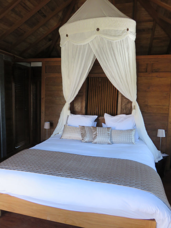 Décoration extérieure par le tapissier décorateur à Nîmes Les Papillons