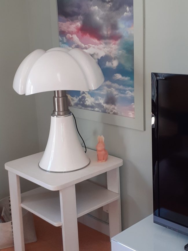 Coloris - Salix 99 de Little Greene - Papier-peint - Ciel Liberté de Christian Lacroix - Encadrement Orac.